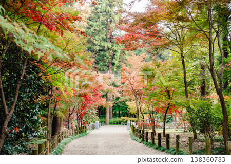 Beautiful autumn foliage adorning the grounds of Hirabayashi Temple 138360783