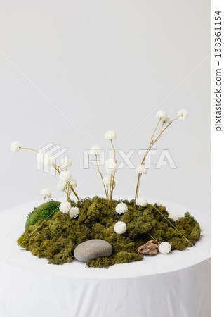 Minimal still life with white dried flowers on moss, stone on white pedestal, white wall Minimal still life with white dried flowers on moss, stone on white pedestal, white wall 138361154