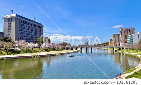 一艘載著遊客前往櫻花節的賞櫻船沿著音戶川航行，藍天白雲下，櫻花樹成蔭。 （櫻城橋/愛知縣岡崎市） 138361295