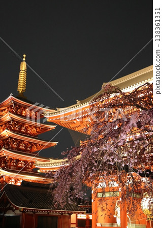 盛開的櫻花和東京旅遊景點淺草寺的五重塔 138361351