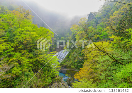[Ibaraki Prefecture] The mystical Fukuroda Falls shrouded in fresh greenery and mist (viewed from the observation deck) 138361482