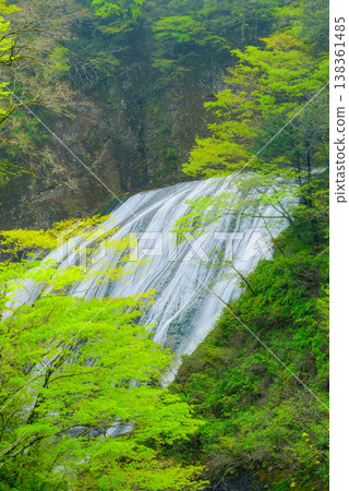 [Ibaraki Prefecture] The mystical Fukuroda Falls shrouded in fresh greenery and mist (viewed from the observation deck) 138361485