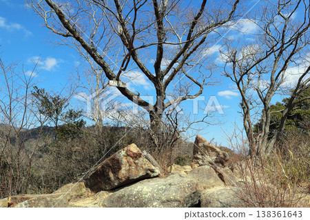 高尾山（兵庫縣） 138361643