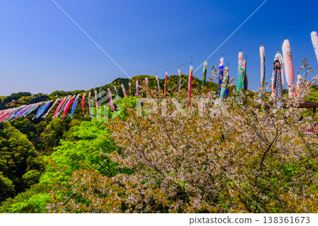 Approximately 1,000 carp streamers fly over the Ryujin (Dragon God) Suspension Bridge in Ibaraki Prefecture on a clear May day. 138361673