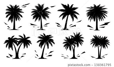 Black Solid Hurricane Palm Debris Silhouettes Set of Six on White Background Black Solid Hurricane Palm Debris Silhouettes Set of Six on White Background 138361795