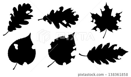 Black Solid Imperfect Autumn Leaf Silhouettes with Natural Damage Black Solid Imperfect Autumn Leaf Silhouettes with Natural Damage 138361858