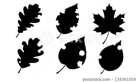 Black Solid Imperfect Autumn Leaf Silhouettes with Natural Damage 138361859