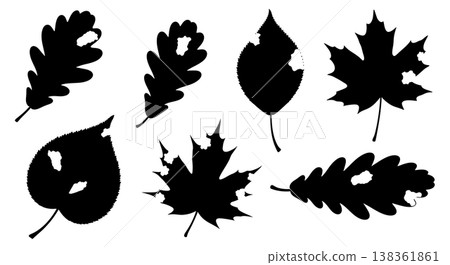 Black Solid Imperfect Autumn Leaf Silhouettes with Natural Damage Black Solid Imperfect Autumn Leaf Silhouettes with Natural Damage 138361861