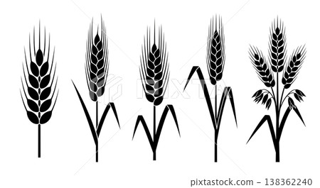 Black Solid Grain and Cereal Plant Silhouettes Set of Six Black Solid Grain and Cereal Plant Silhouettes Set of Six 138362240