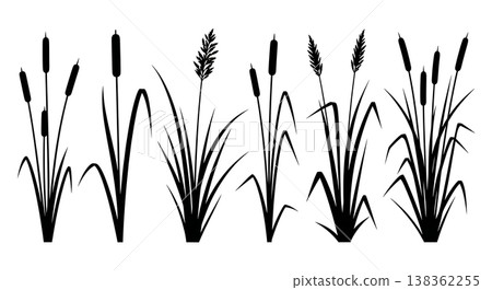 Assortment of Six Tall Grass and Reed Silhouettes on White Background 138362255
