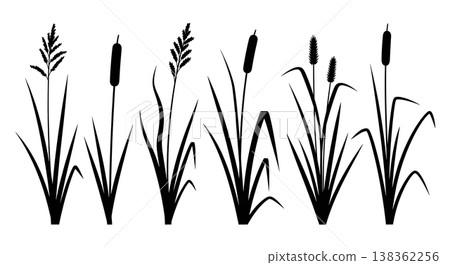 Assortment of Six Tall Grass and Reed Silhouettes on White Background Assortment of Six Tall Grass and Reed Silhouettes on White Background 138362256