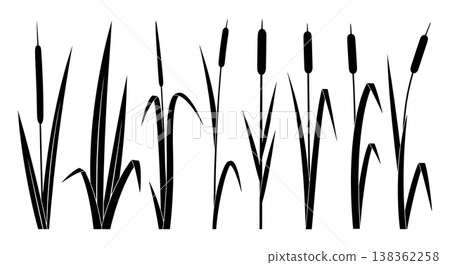 Assortment of Six Tall Grass and Reed Silhouettes on White Background Assortment of Six Tall Grass and Reed Silhouettes on White Background 138362258