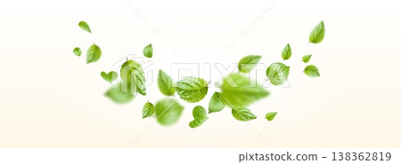 Fresh green leaves flying in wind on white Fresh green leaves flying in wind on white 138362819