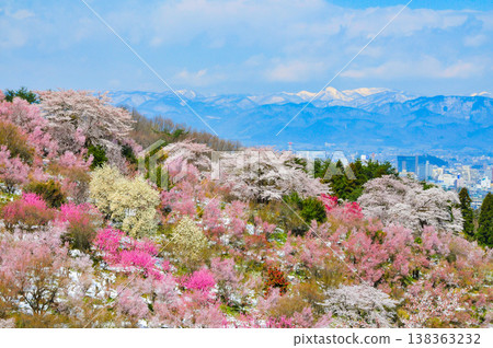 春暖花開的花見山，宛如人間天堂，五彩繽紛的櫻花和其他鮮花裝飾著整座山。 138363232