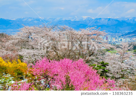 春暖花開的花見山，宛如人間天堂，五彩繽紛的櫻花和其他鮮花裝飾著整座山。 138363235