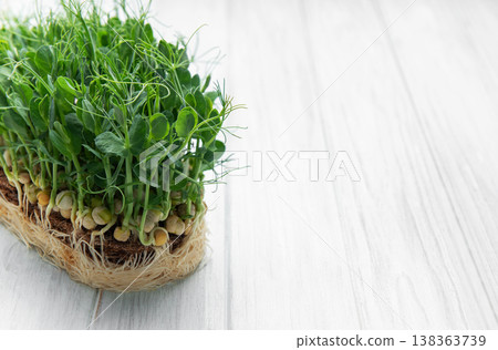 Fresh green pea shoots growing, healthy organic food Fresh green pea shoots growing, healthy organic food 138363739