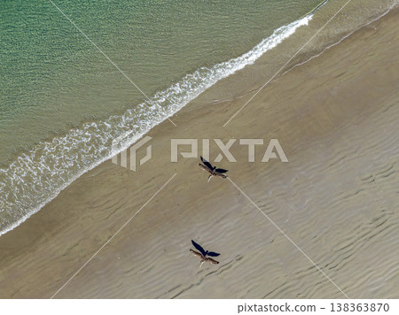 Pelicans flying in mexican baja california sur beach drone top aerial view Pelicans flying in mexican baja california sur beach drone top aerial view 138363870