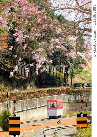 Kansai Cycle Sports Center and cherry blossoms Kansai Cycle Sports Center and cherry blossoms 138363899