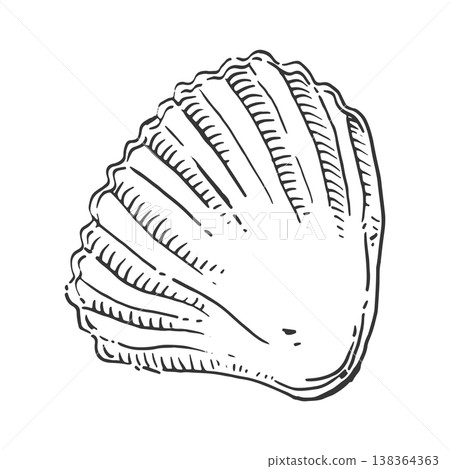 Hand-drawn seashell or scallop sketch. This vector seashell sketch is perfect for beach themes, vacation concepts, summer holidays, and marine decorative art. 138364363