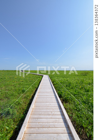 Walking along the Sarobetsu Wetland walking trail Walking along the Sarobetsu Wetland walking trail 138364372