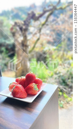 Fresh strawberries served on a plate placed on the veranda Fresh strawberries served on a plate placed on the veranda 138364447