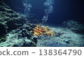 Underwater Volcanic Vent With Hot Water 138364790