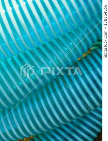 Detailed closeup of flexible plastic hose 138364858