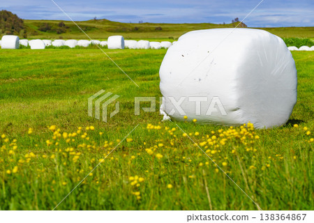 Bale of hay wrapped in plastic foil, Norway Bale of hay wrapped in plastic foil, Norway 138364867