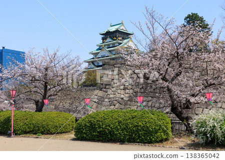 Osaka Castle with cherry blossoms in full bloom, as seen from Nishinomaru Garden. Osaka Castle with cherry blossoms in full bloom, as seen from Nishinomaru Garden. 138365042