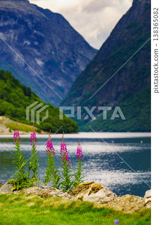 View on fjord Sognefjord, Gudvangen Norway View on fjord Sognefjord, Gudvangen Norway 138365082
