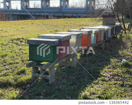 Bee hives in the Italian countryside Bee hives in the Italian countryside 138365442