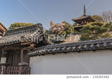 Spring scenery at Taima-dera Temple: The beauty of Japan woven from cherry blossoms and tiled roofs. Spring scenery at Taima-dera Temple: The beauty of Japan woven from cherry blossoms and tiled roofs. 138365482