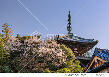 Spring at Taima-dera Temple: The pagoda and the colorful mountains viewed through the cherry blossoms. Spring at Taima-dera Temple: The pagoda and the colorful mountains viewed through the cherry blossoms. 138365483