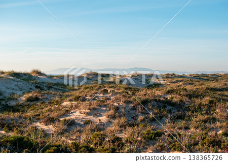 Scenic Sand Dunes with Sparse Vegetation and Distant Mountains under a Clear Sky Scenic Sand Dunes with Sparse Vegetation and Distant Mountains under a Clear Sky 138365726