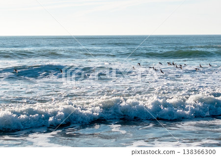 Sunny Ocean Waves Breaking on the Shore Sunny Ocean Waves Breaking on the Shore 138366300