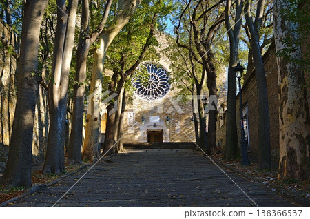 Cathedral of San Giusto Martire in Trieste Cathedral of San Giusto Martire in Trieste 138366537