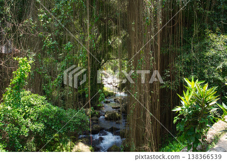 View into the rainforest and a on a stream near Gunung Kawi temple 138366539