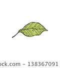 Sketch lemonade green leaf. Summer cold drinks, hand drawn yellow lemons slices and leaves. Glass of lemonade with ice vector illustration. Drink fruit lemonade graphic, juice and mint leaf 138367091