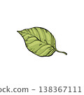 Sketch lemonade green leaf. Summer cold drinks, hand drawn yellow lemons slices and leaves. Glass of lemonade with ice vector illustration. Drink fruit lemonade graphic, juice and mint leaf 138367111