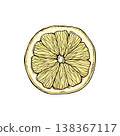 Sketch lemonade. Summer cold drinks, hand drawn yellow lemons slices and leaves. Glass of lemonade with ice vector illustration. Drink fruit lemonade graphic, juice and mint leaf 138367117