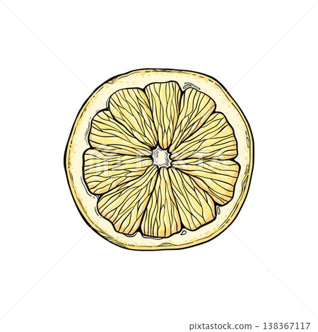 Sketch lemonade. Summer cold drinks, hand drawn yellow lemons slices and leaves. Glass of lemonade with ice vector illustration. Drink fruit lemonade graphic, juice and mint leaf Sketch lemonade. Summer cold drinks, hand drawn yellow lemons slices and leaves. Glass of lemonade with ice vector illustration. Drink fruit lemonade graphic, juice and mint leaf 138367117