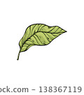 Sketch lemonade green leaf. Summer cold drinks, hand drawn yellow lemons slices and leaves. Glass of lemonade with ice vector illustration. Drink fruit lemonade graphic, juice and mint leaf 138367119