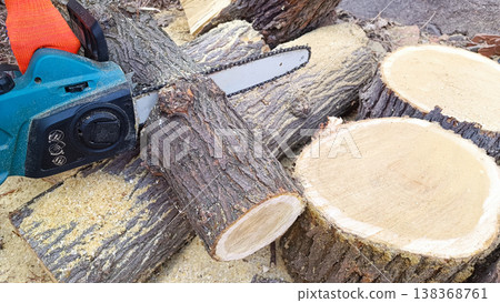 Hand holds chain saw with battery to trim broken branch of an tree. Modern work with electric portable brushless cordless chain saw. Hand holds chain saw with battery to trim broken branch of an tree. Modern work with electric portable brushless cordless chain saw. 138368761