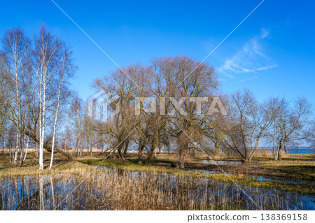Early spring landscape in Latvia with leafless trees, wetlands and blue sky reflection scene 138369158