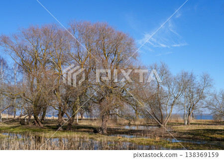 Early spring Latvian landscape with bare trees wetland reflections and clear blue sky scenery Early spring Latvian landscape with bare trees wetland reflections and clear blue sky scenery 138369159