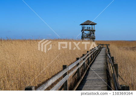 Wooden boardwalk leading to bird watching tower at Lake Liepaja Latvia early spring landscape Wooden boardwalk leading to bird watching tower at Lake Liepaja Latvia early spring landscape 138369164