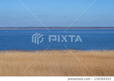 Lake Liepaja shoreline with reeds and calm blue water in Latvia early spring landscape scene Lake Liepaja shoreline with reeds and calm blue water in Latvia early spring landscape scene 138369165