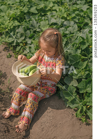 A funny little girl is sitting in the vegetable garden of a farmer's plantation, picking fresh cucumbers in a straw hat. A funny little girl is sitting in the vegetable garden of a farmer's plantation, picking fresh cucumbers in a straw hat. 138369203
