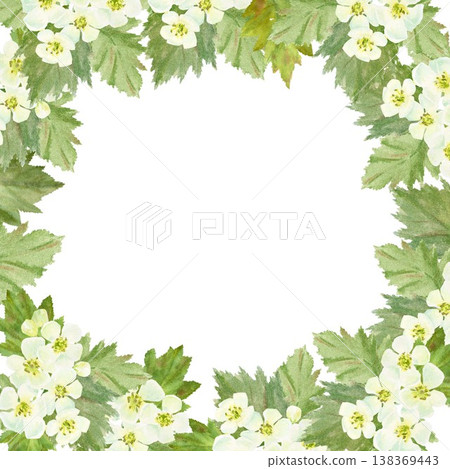 A square frame with white barberry flowers and leaves, hand-drawn watercolor illustration on an isolated background. Simple spring clip art with space for text, decoration, and design. A square frame with white barberry flowers and leaves, hand-drawn watercolor illustration on an isolated background. Simple spring clip art with space for text, decoration, and design. 138369443