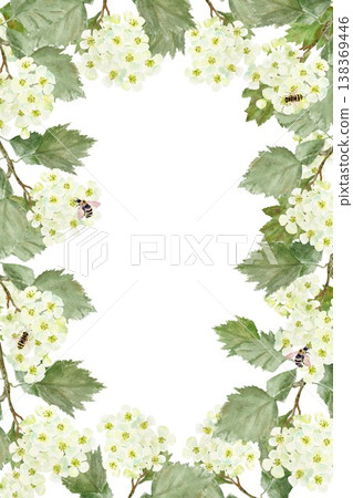 Rectangular vertical frame with white barberry flowers and leaves and bees, hand-drawn watercolor illustration on an isolated background. Simple spring clip art with space for text, decoration. Rectangular vertical frame with white barberry flowers and leaves and bees, hand-drawn watercolor illustration on an isolated background. Simple spring clip art with space for text, decoration. 138369446